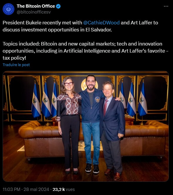 Cathie Wood va donner le coup d'envoi d'un nouveau programme éducatif au Salvador qui mettra l'accent sur l'intelligence artificielle.