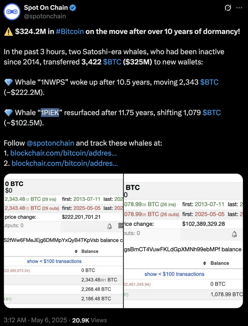 Spot on chain dévoile deux transferts massifs