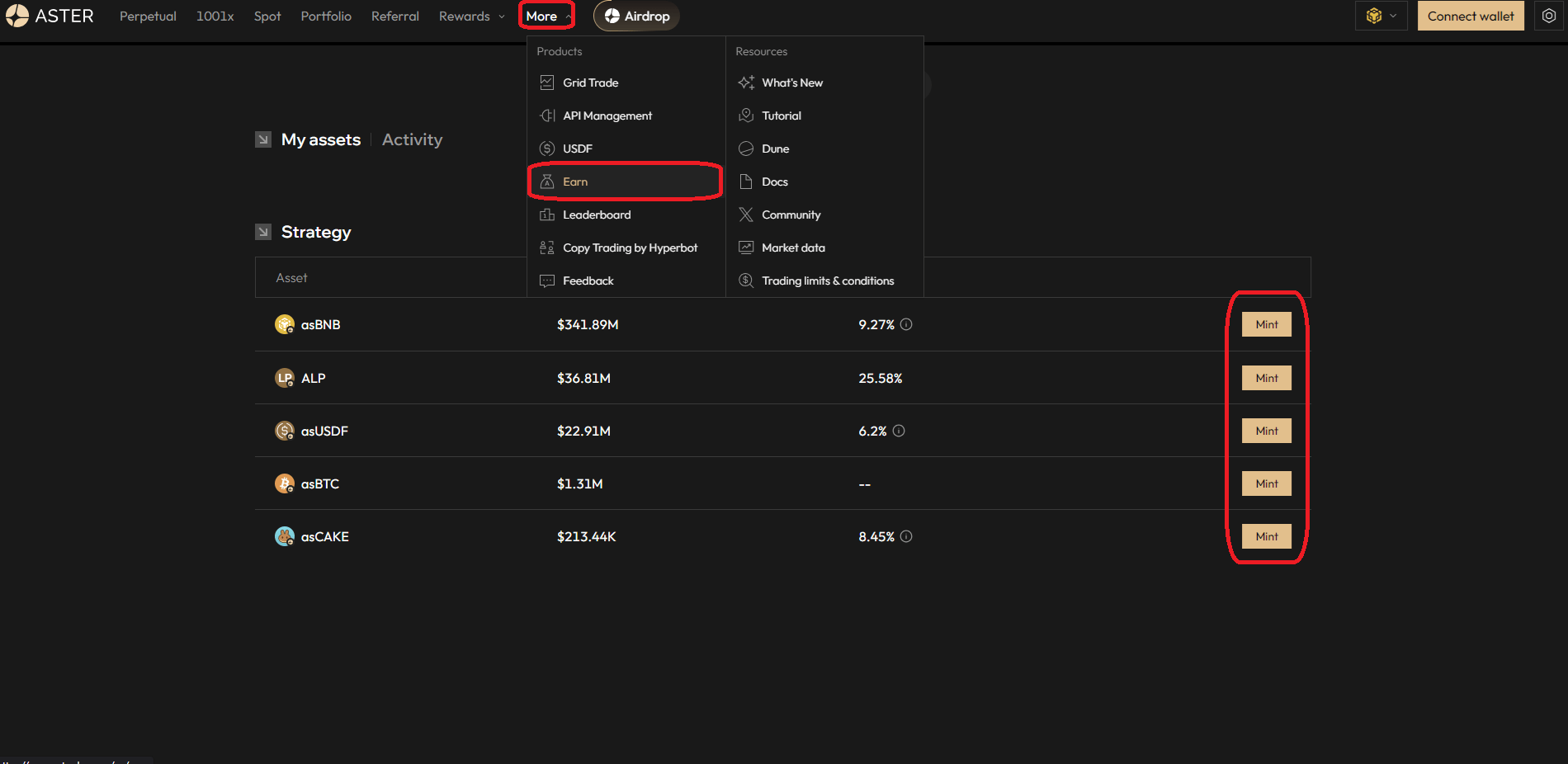 Mintez les assets d'Aster via le menu Earn